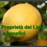 Limone proprietà